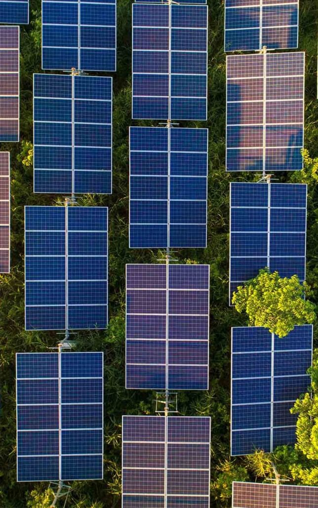 O3_Energy_field of panels with trees